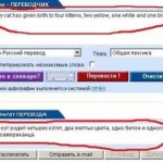 Бюро переводов-или онлайн переводчик?