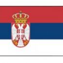 Сербия в концовке спаслась с Уэльсом: смотреть голы