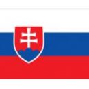 Словакия взяла реванш у Словении: лучшие моменты матча