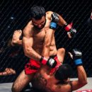 Новости из мира MMA